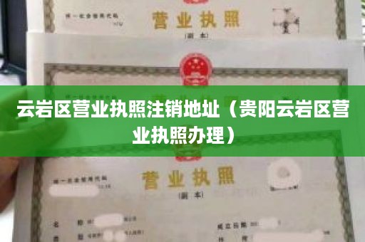 云岩区营业执照注销地址（贵阳云岩区营业执照办理）