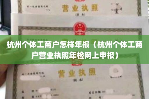 杭州个体工商户怎样年报（杭州个体工商户营业执照年检网上申报）