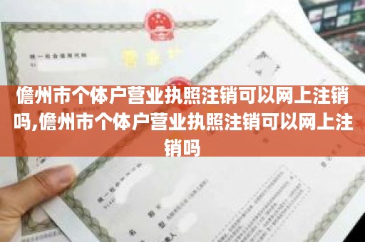 儋州市个体户营业执照注销可以网上注销吗,儋州市个体户营业执照注销可以网上注销吗