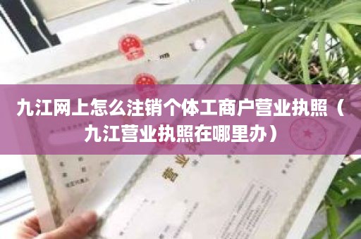 九江网上怎么注销个体工商户营业执照（九江营业执照在哪里办）