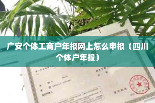 广安个体工商户年报网上怎么申报（四川个体户年报）