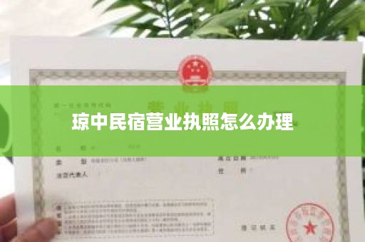 琼中民宿营业执照怎么办理