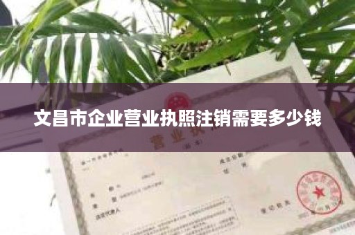 文昌市企业营业执照注销需要多少钱