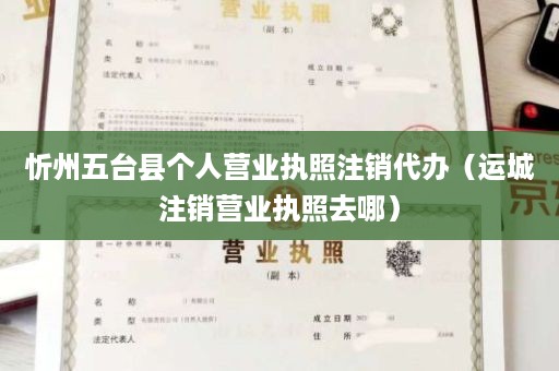 忻州五台县个人营业执照注销代办（运城注销营业执照去哪）