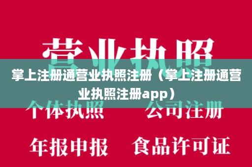 掌上注册通营业执照注册（掌上注册通营业执照注册app）