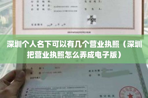 深圳个人名下可以有几个营业执照（深圳把营业执照怎么弄成电子版）