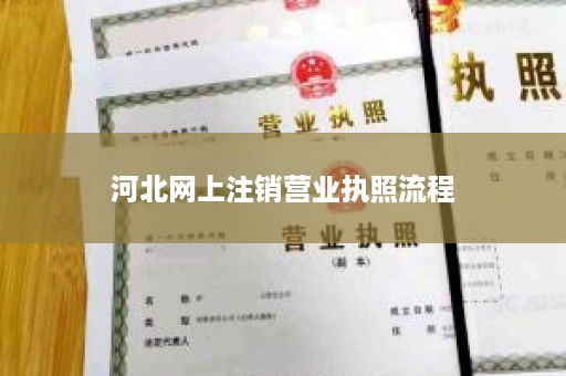 河北网上注销营业执照流程