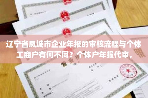 辽宁省凤城市企业年报的审核流程与个体工商户有何不同？个体户年报代审，