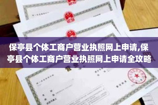 保亭县个体工商户营业执照网上申请,保亭县个体工商户营业执照网上申请全攻略