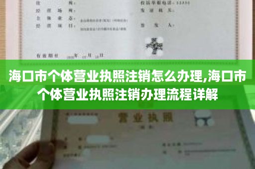 海口市个体营业执照注销怎么办理,海口市个体营业执照注销办理流程详解