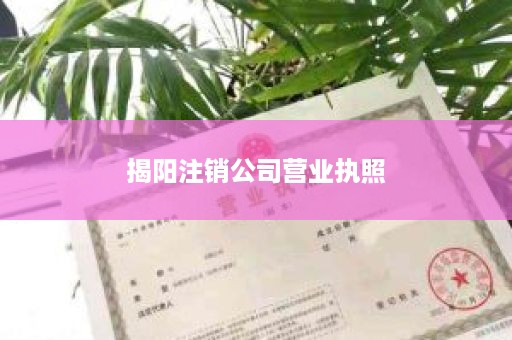 揭阳注销公司营业执照