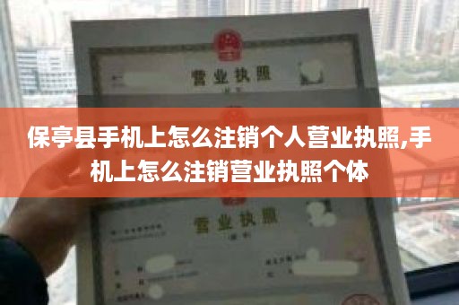 保亭县手机上怎么注销个人营业执照,手机上怎么注销营业执照个体