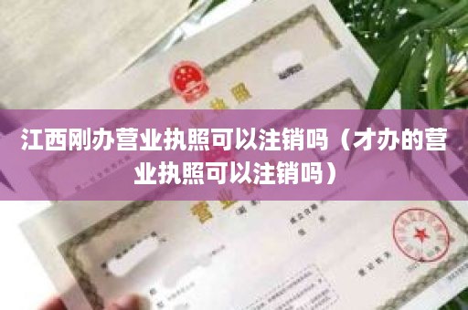 江西刚办营业执照可以注销吗（才办的营业执照可以注销吗）