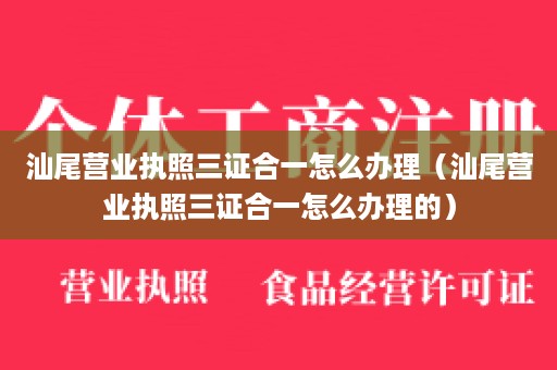 汕尾营业执照三证合一怎么办理（汕尾营业执照三证合一怎么办理的）