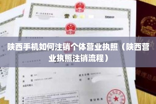 陕西手机如何注销个体营业执照（陕西营业执照注销流程）