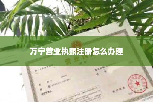 万宁营业执照注册怎么办理