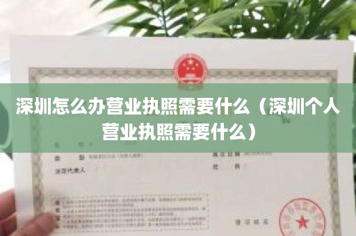 深圳怎么办营业执照需要什么（深圳个人营业执照需要什么）