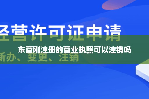 东营刚注册的营业执照可以注销吗