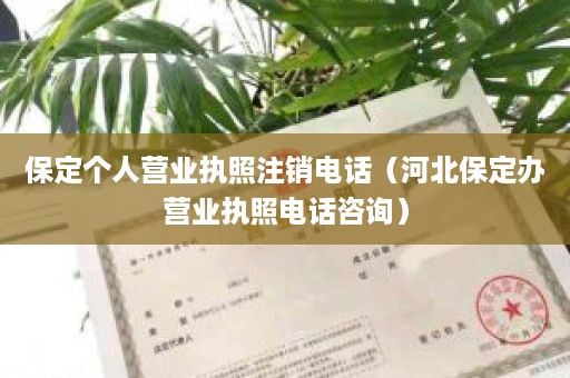 保定个人营业执照注销电话（河北保定办营业执照电话咨询）