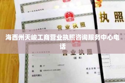 海西州天峻工商营业执照咨询服务中心电话