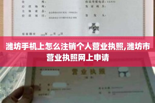 潍坊手机上怎么注销个人营业执照,潍坊市营业执照网上申请