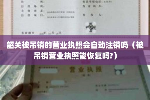 韶关被吊销的营业执照会自动注销吗（被吊销营业执照能恢复吗?）