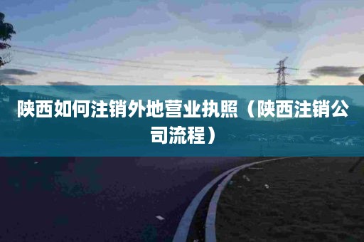 陕西如何注销外地营业执照（陕西注销公司流程）