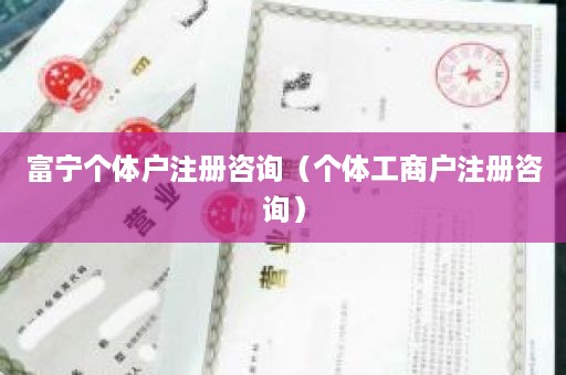 富宁个体户注册咨询（个体工商户注册咨询）