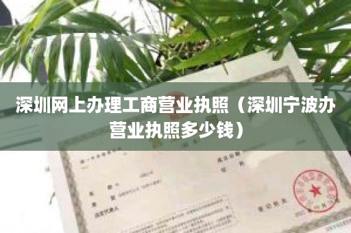 深圳网上办理工商营业执照（深圳宁波办营业执照多少钱）