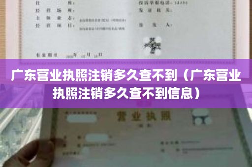 广东营业执照注销多久查不到（广东营业执照注销多久查不到信息）