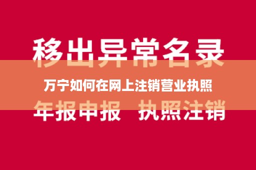 万宁如何在网上注销营业执照