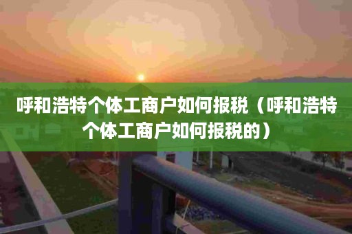 呼和浩特个体工商户如何报税（呼和浩特个体工商户如何报税的）