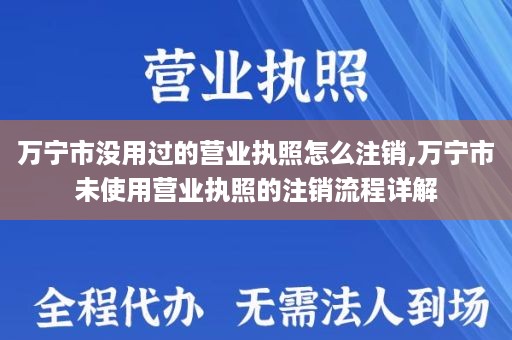 万宁市没用过的营业执照怎么注销,万宁市未使用营业执照的注销流程详解