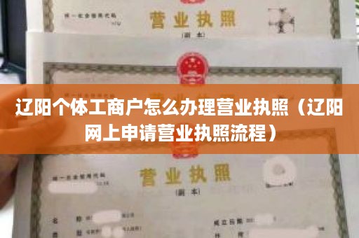 辽阳个体工商户怎么办理营业执照（辽阳网上申请营业执照流程）