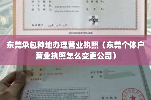 东莞承包种地办理营业执照（东莞个体户营业执照怎么变更公司）