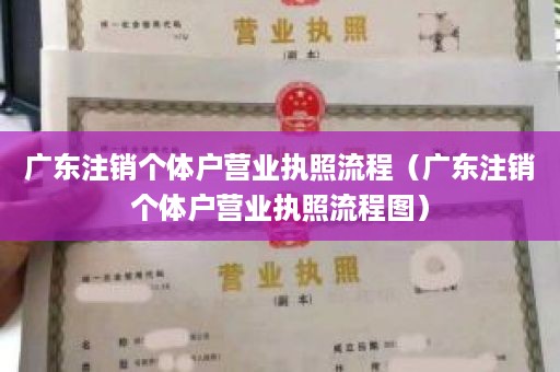 广东注销个体户营业执照流程（广东注销个体户营业执照流程图）