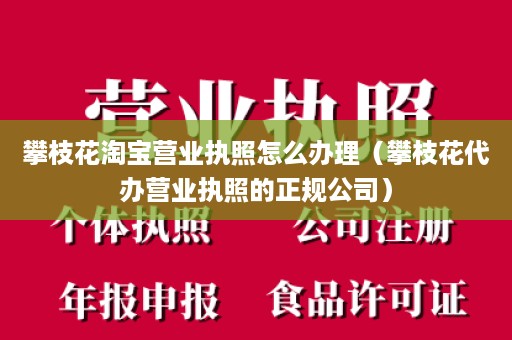 攀枝花淘宝营业执照怎么办理（攀枝花代办营业执照的正规公司）