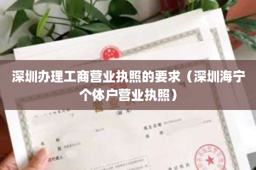 深圳办理工商营业执照的要求（深圳海宁个体户营业执照）