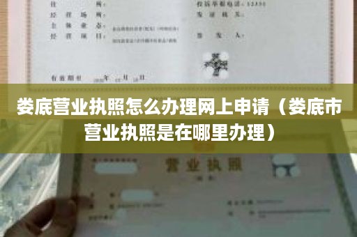 娄底营业执照怎么办理网上申请（娄底市营业执照是在哪里办理）