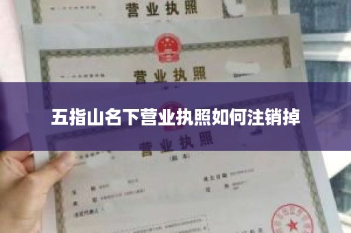 五指山名下营业执照如何注销掉