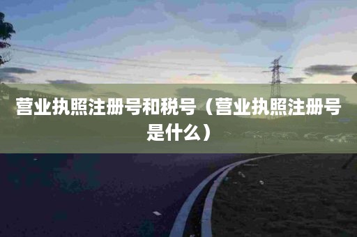 营业执照注册号和税号（营业执照注册号是什么）