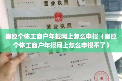 固原个体工商户年报网上怎么申报（固原个体工商户年报网上怎么申报不了）