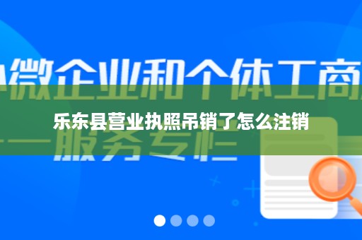 乐东县营业执照吊销了怎么注销