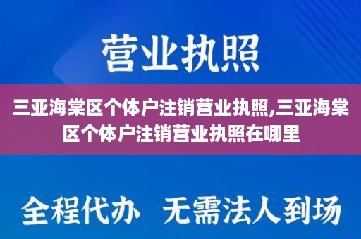 三亚海棠区个体户注销营业执照,三亚海棠区个体户注销营业执照在哪里