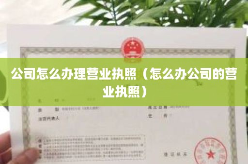 公司怎么办理营业执照（怎么办公司的营业执照）