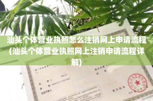 汕头个体营业执照怎么注销网上申请流程(汕头个体营业执照网上注销申请流程详解)