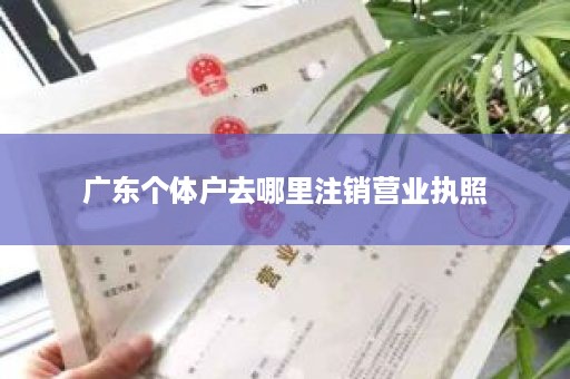 广东个体户去哪里注销营业执照