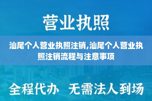 汕尾个人营业执照注销,汕尾个人营业执照注销流程与注意事项