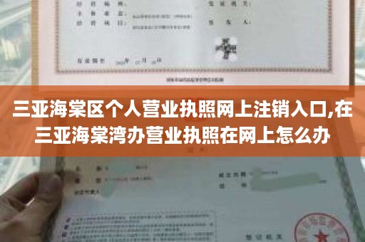 三亚海棠区个人营业执照网上注销入口,在三亚海棠湾办营业执照在网上怎么办