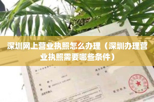 深圳网上营业执照怎么办理（深圳办理营业执照需要哪些条件）